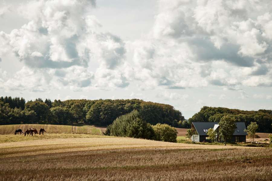 Locals will definitely agree that the steel profiles are “mousi”, which means amazing in the local dialect, Hjablelundvej 49, 9830 Tårs